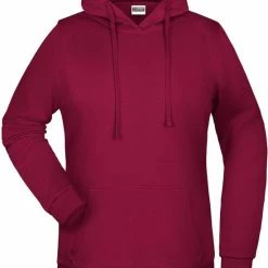 James & Nicholson James And Nicholson Vrouwen/dames Basic Hoodie (Wijn)