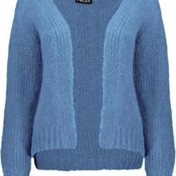 PIECES PCCARMAN LS KNIT CARDIGAN BC Dames Vest - Maat XL -Dameskleding Verkoop 550x699 4