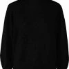 PIECES PCCAVA LS HIGH NECK KNIT NOOS BC QX Dames Trui - Maat S-42/44