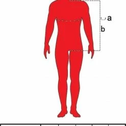 Fruit Of The Loom Sweater Raglan Sweat Ronde Hals Paars Maat M 7 Fruit Of The Loom Sweater Raglan Sweat Ronde Hals Paars Maat M -Dameskleding Verkoop 550x765 7