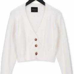 Colourful Rebel Aurora Cropped Trui Wit Dames - Basic Fit - Katoen - L/XL 21 Colourful Rebel Aurora Cropped Trui Wit Dames - Basic Fit - Katoen - L/XL -Dameskleding Verkoop 550x772 6